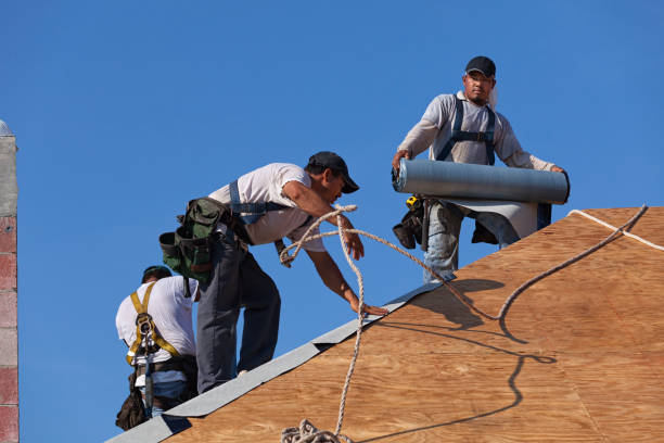 Best Metal Roofing Contractor  in Big Lake, WA